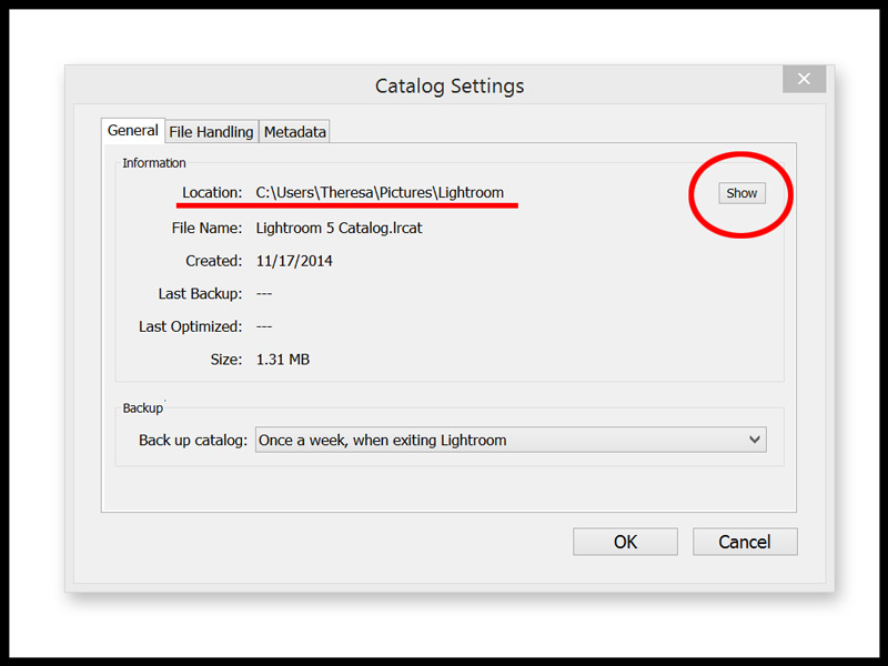 Lightroom Catalog Settings