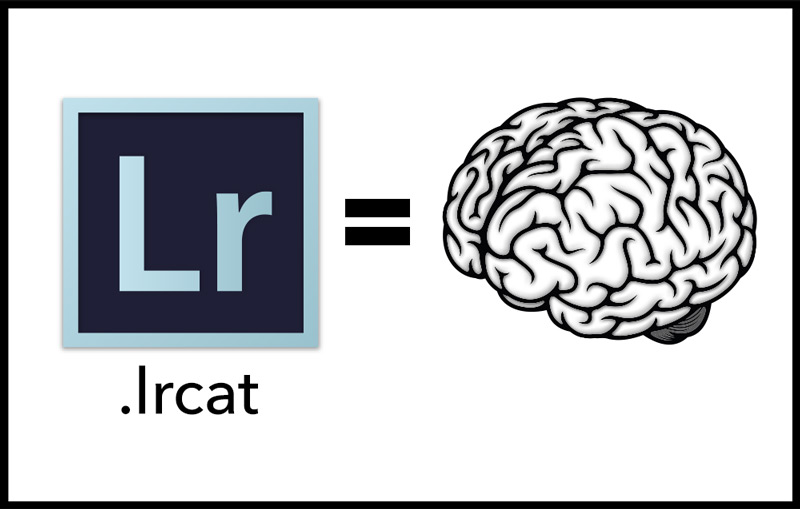Lightroom is a Brain