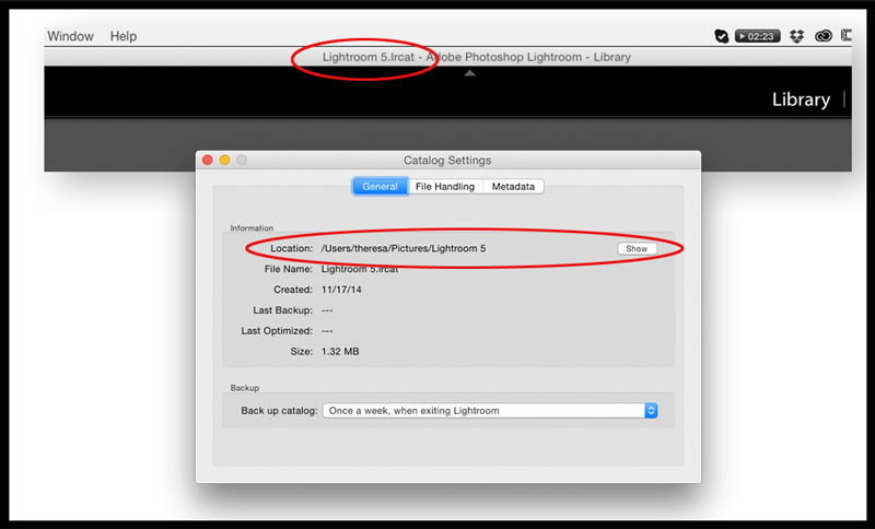 Which Lightroom catalog file is open.