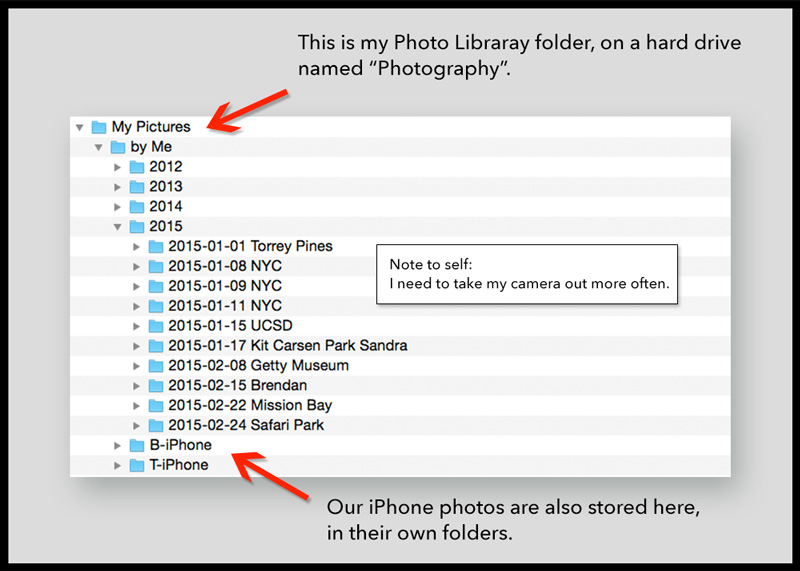 organized photo library folders
