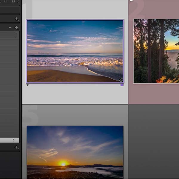 close up image of Lightroom Classic grid view