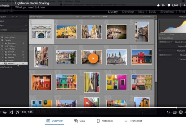 Image of Lightroom Classic grid view