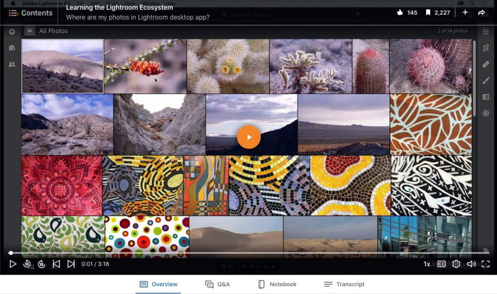 image of Lightroom grid view with colorful images
