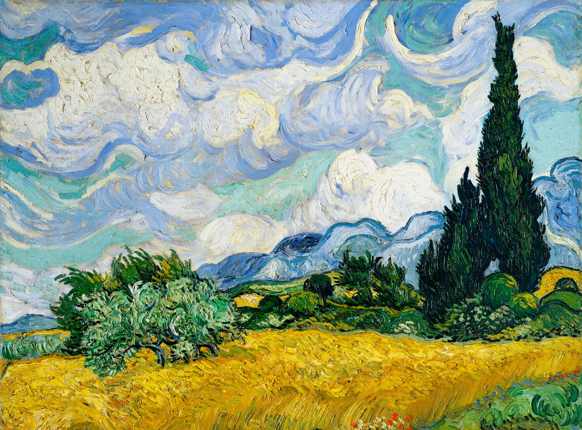 Vincent Van Gogh's Wheat Field with Cypresses (1889). Blue sky with puffy clouds. Tall cypress tress on right side. Golden grass.